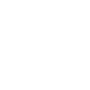 icon linkedin