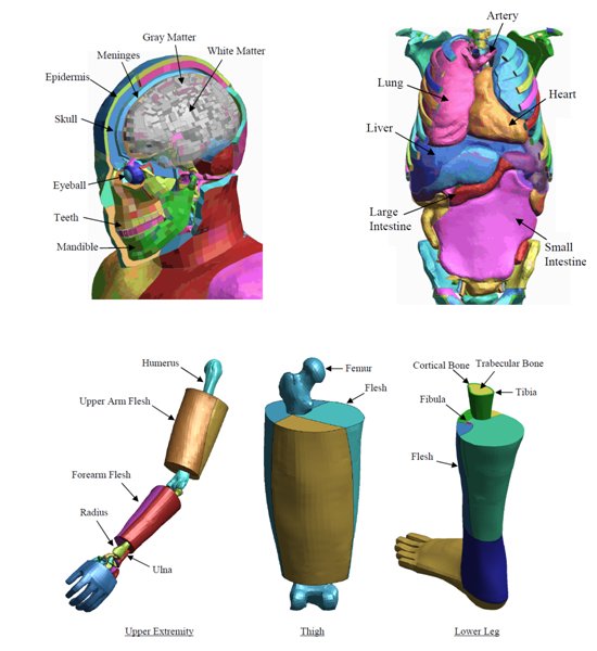 Model Details